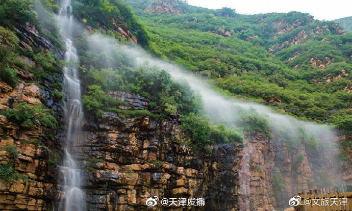 小黄姜和普通生姜的区别