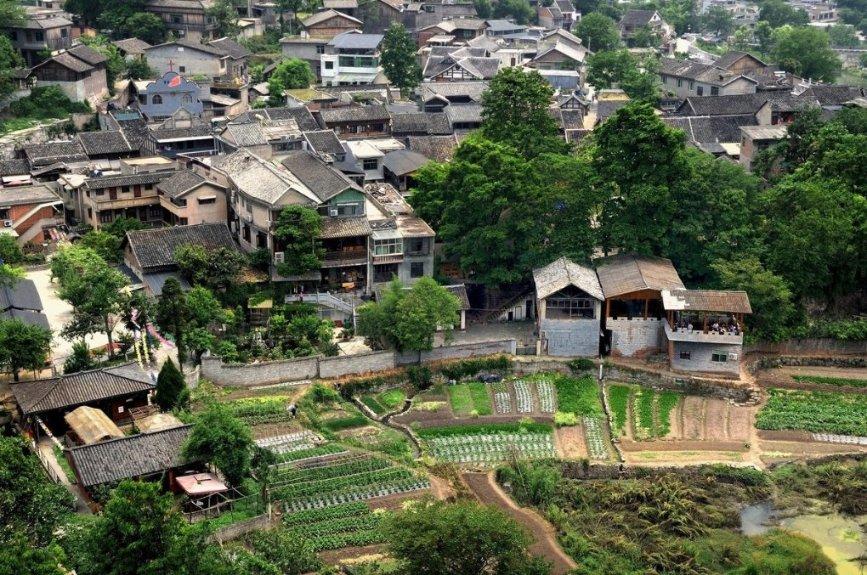 中国汽车产业可以实现弯道超车吗?-知识星球平台